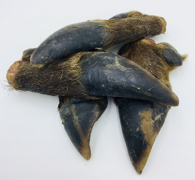Air Dried Deer Hooves - 2 Pack Large